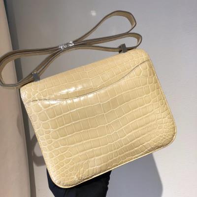 wholesale quality hermes constance 19 shinny niloticus crocodile 12 nata phd